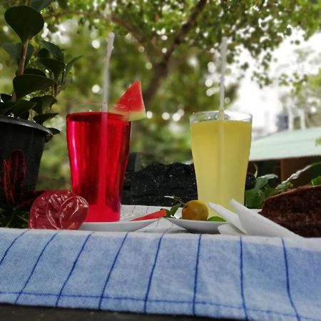 Sigiri La Veranda Lodge Kibissa Экстерьер фото